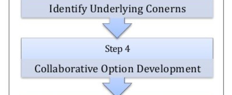 CODM Model Flow Chart